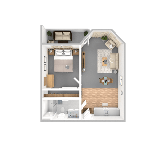 DSL_PSL_LMH_1BR_Birch-Redwood_506-643sqft_WEB