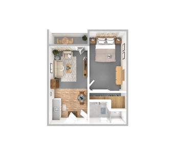 DSL_PSL_LMH_1BR_Chestnut_506-643sqft_WEB