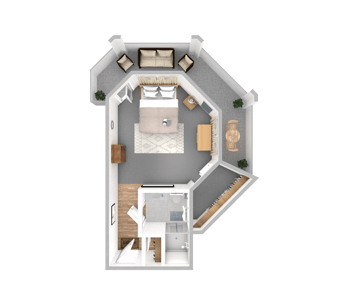 DSL_PSL_LMH_Suite_FanPalm_325-418sqft_WEB
